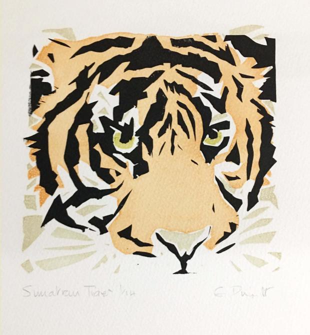 Oxford Mail: Sumatran Tiger by Isobel Piggott